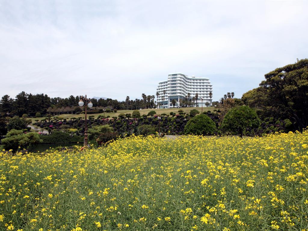 Seogwipo Kal Hotel Exterior photo View of the hotel from the park