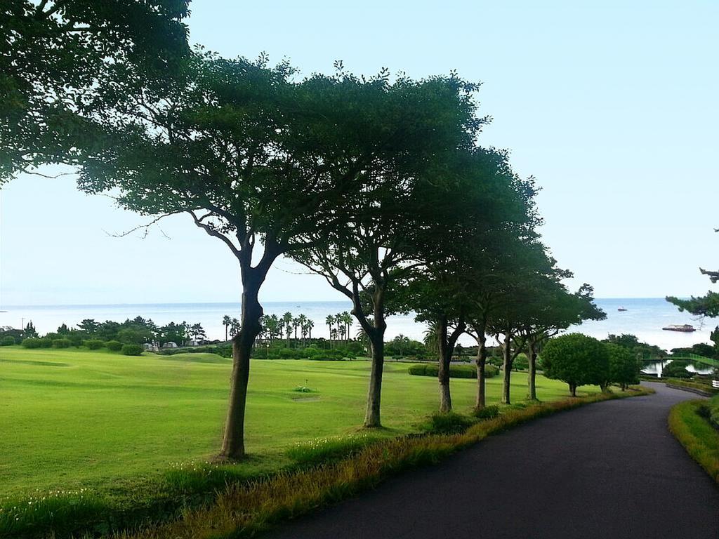 Seogwipo Kal Hotel Exterior photo A view of the golf course