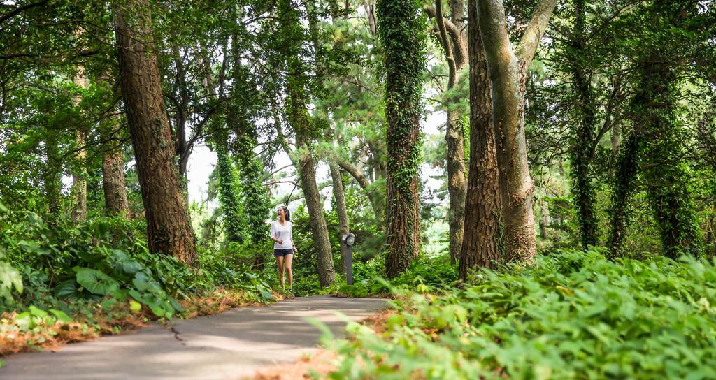 Seogwipo Kal Hotel Exterior photo A trail in the park